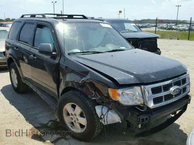 Фотография 1FMCU0D76BKA06008 - FORD ESCAPE 2011