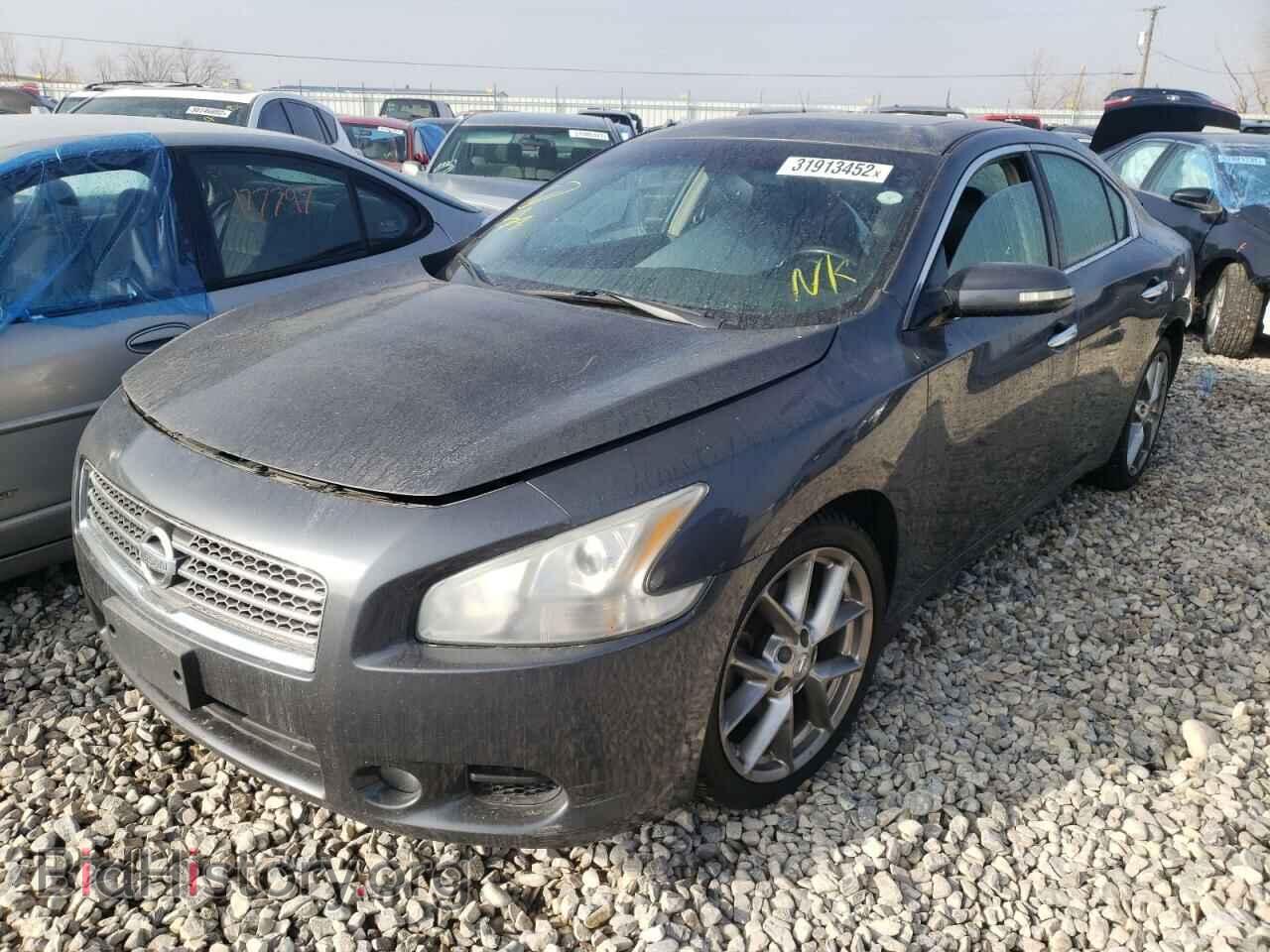 2010 NISSAN MAXIMA - VIN: 1N4AA5AP4AC831131 - Фото 2