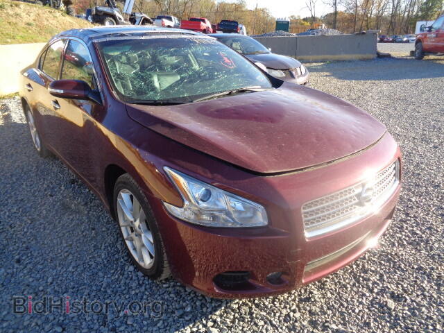 Фотография 1N4AA5AP5BC850532 - NISSAN MAXIMA 2011