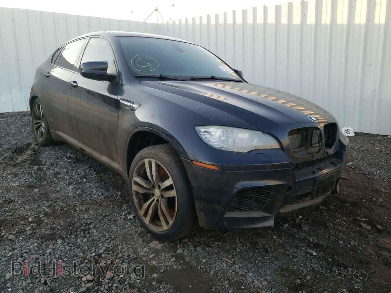 Photo 5YMGZ0C55ALK13657 - BMW X6 2010