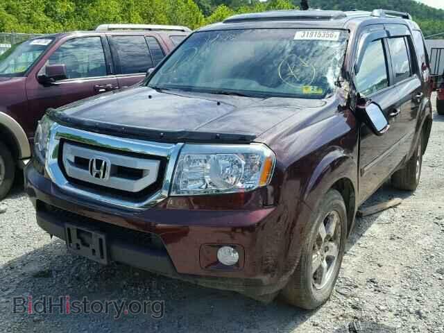 2010 HONDA PILOT - VIN: 5FNYF4H91AB008459 - Фото 2