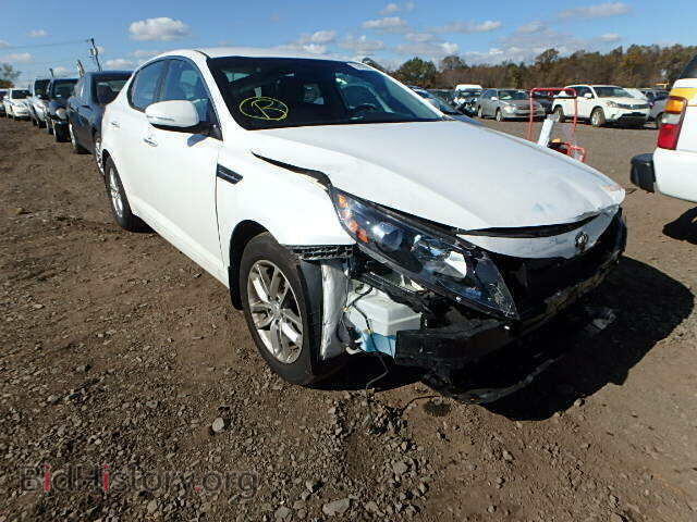 Фотография KNAGM4A76D5436766 - KIA OPTIMA 2013