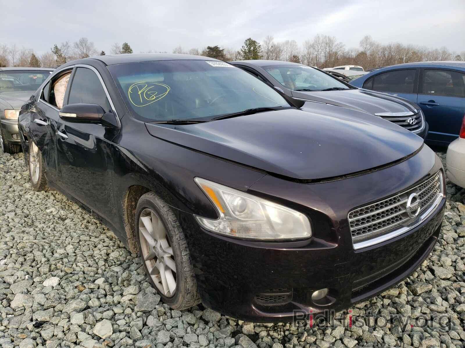 Photo 1N4AA5AP9AC831545 - NISSAN MAXIMA 2010