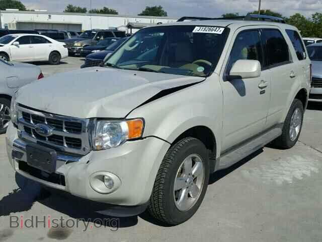 2009 FORD ESCAPE - VIN: 1FMCU04G09KB11654 - Фото 2