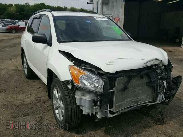 Фотография 2T3BF4DV9CW191406 - TOYOTA RAV4 2012