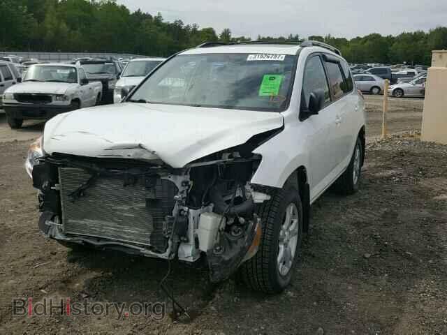 2012 TOYOTA RAV4 - VIN: 2T3BF4DV9CW191406 - Фото 2