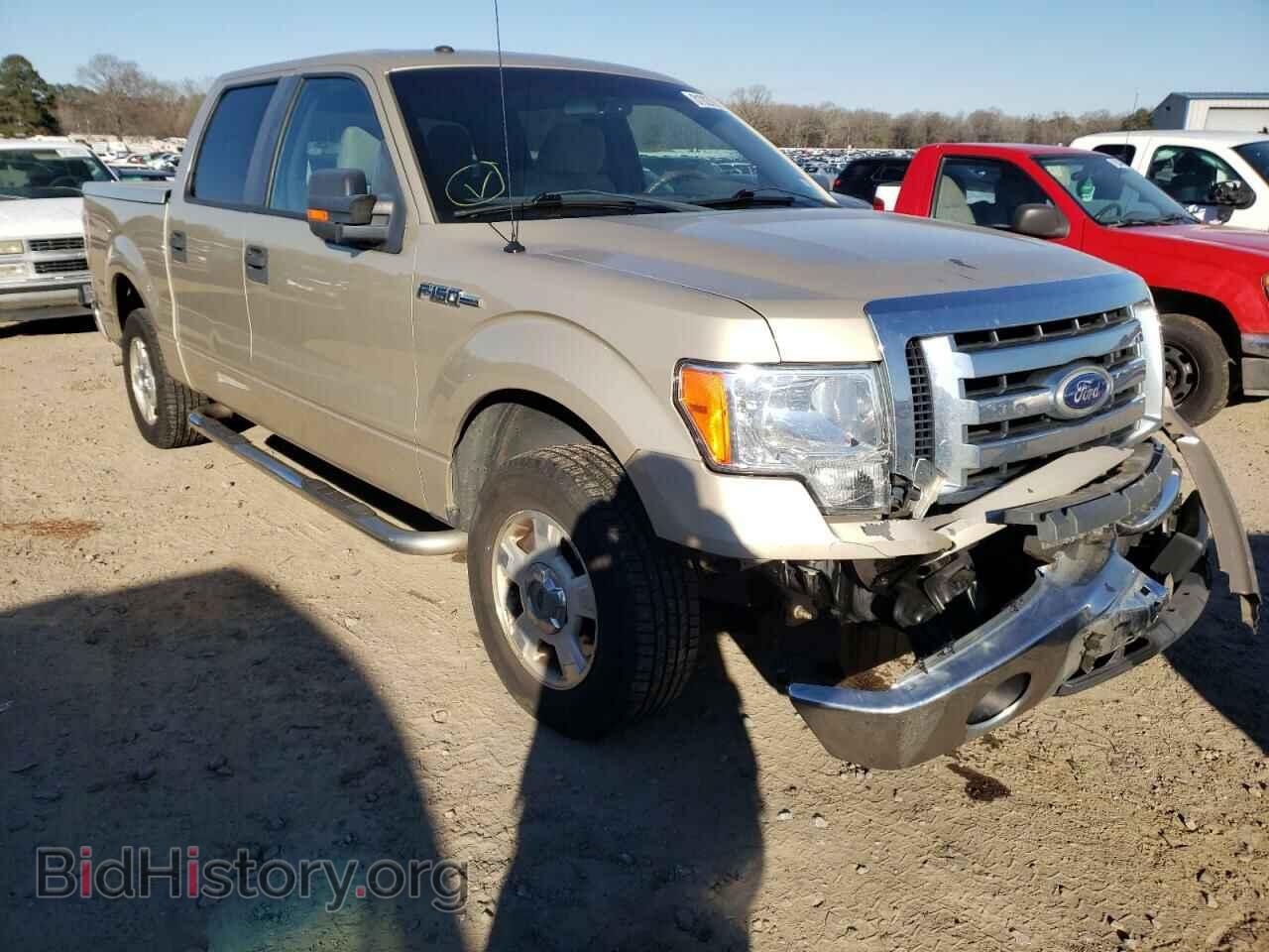 Photo 1FTEW1C84AFA06202 - FORD F-150 2010