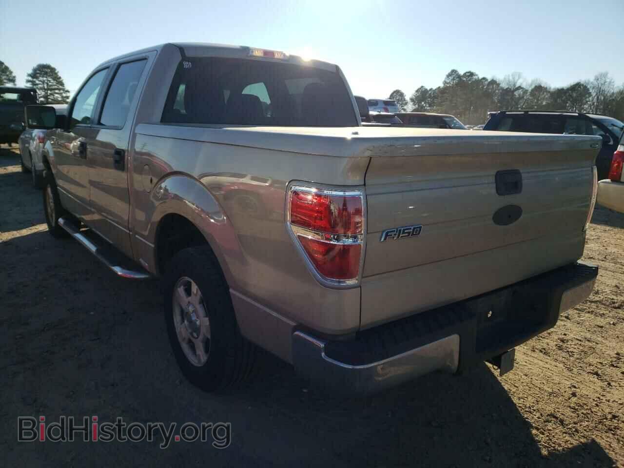 2010 FORD F-150 - VIN: 1FTEW1C84AFA06202 - Фото 3