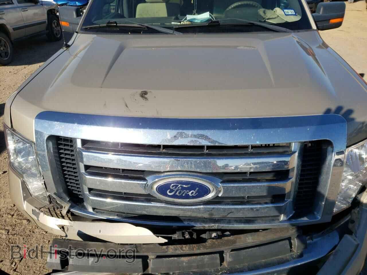 2010 FORD F-150 - VIN: 1FTEW1C84AFA06202 - Фото 7