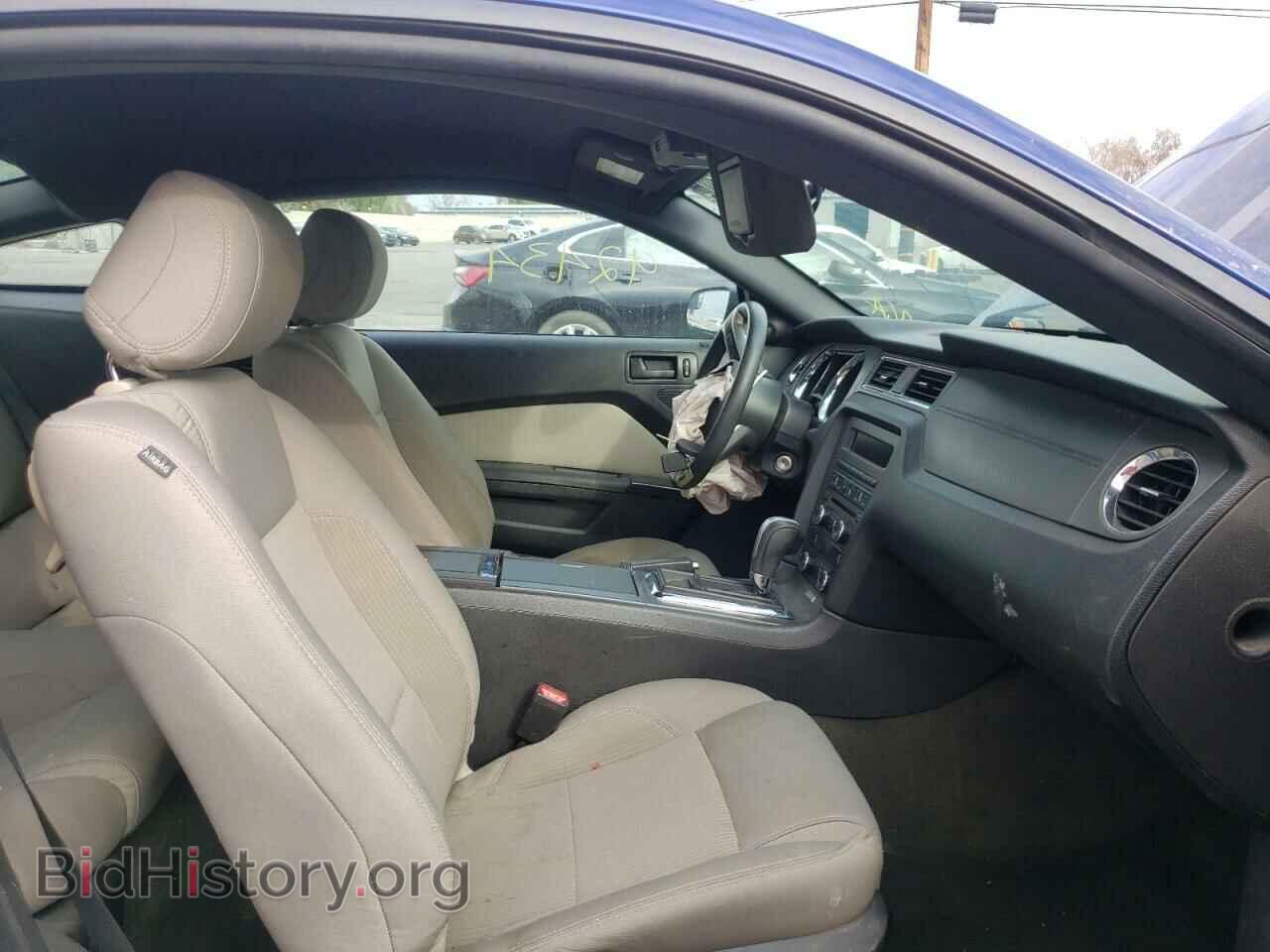 2013 FORD MUSTANG - VIN: 1ZVBP8AM8D5282639 - Фото 5