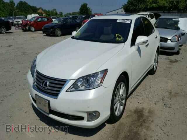 2012 LEXUS ES350 - VIN: JTHBK1EG5C2480462 - Фото 2