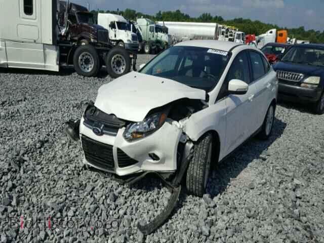 2014 FORD FOCUS - VIN: 1FADP3J21EL422367 - Photo 2