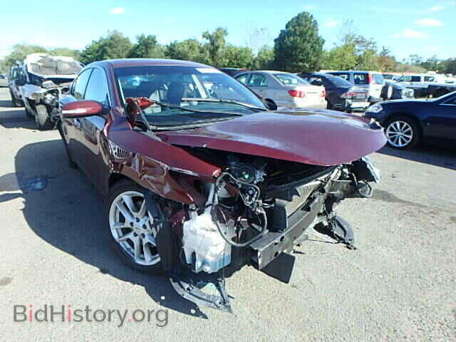 Photo 1N4AA5AP9AC809805 - NISSAN MAXIMA 2010