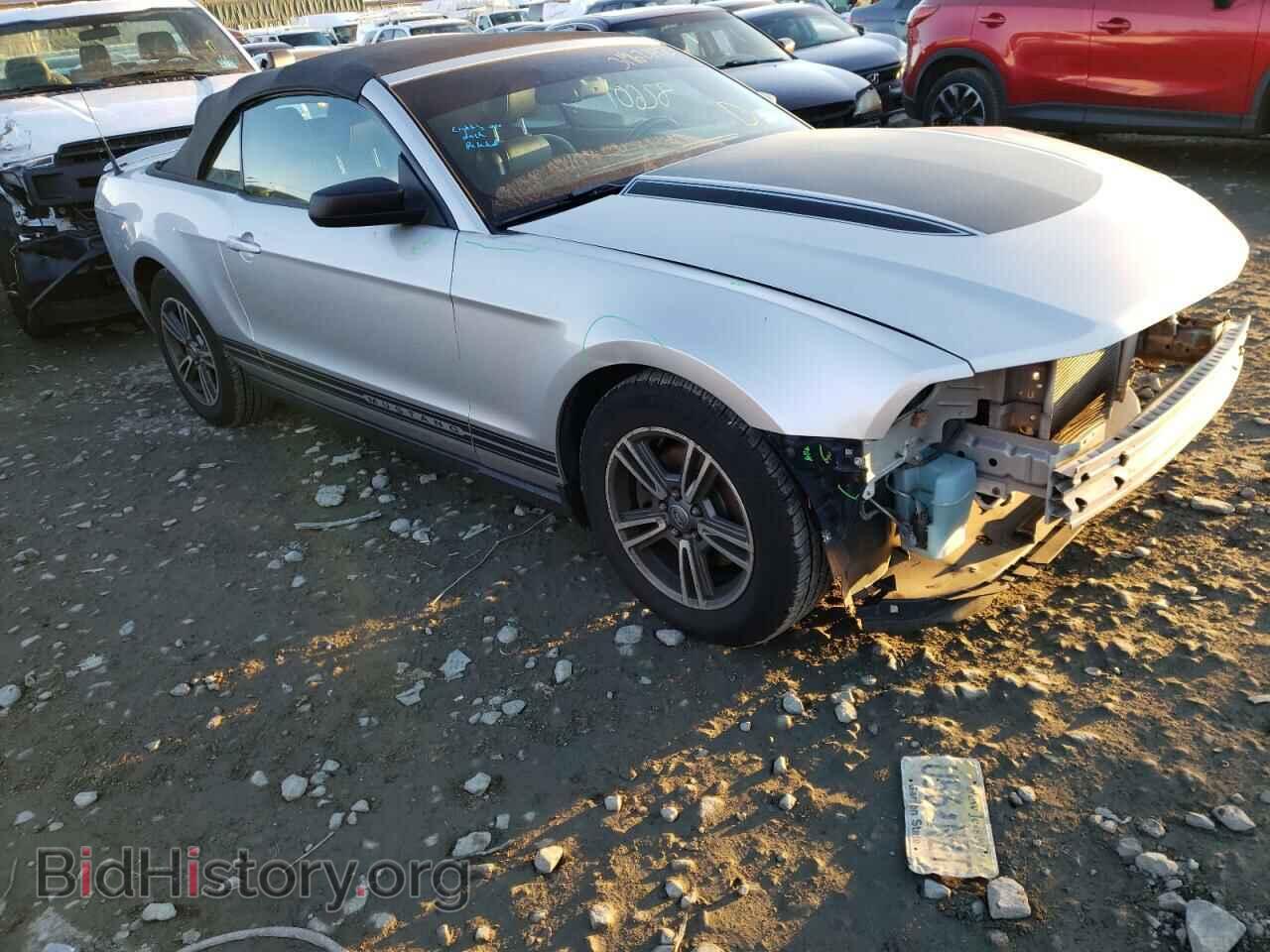 Фотография 1ZVBP8EM1C5286394 - FORD MUSTANG 2012