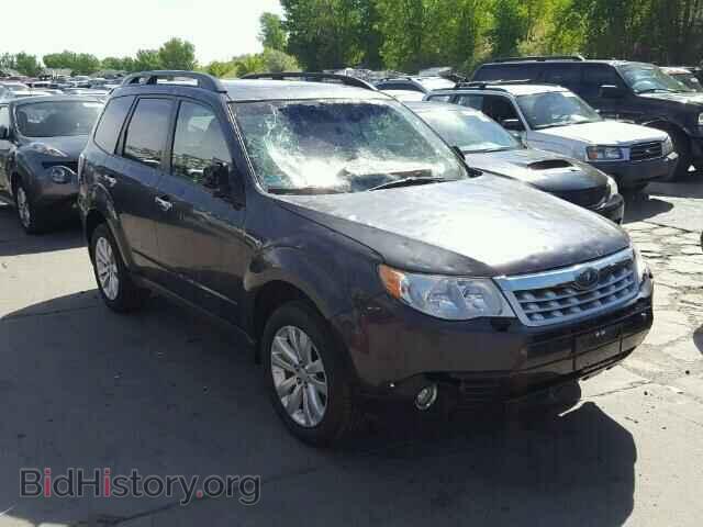 Фотография JF2SHADC3DH410067 - SUBARU FORESTER 2013