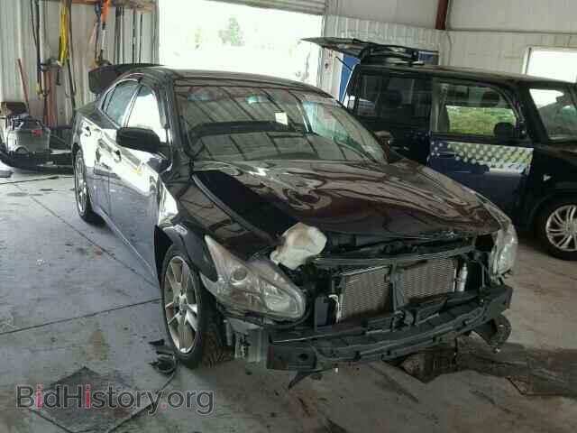 Фотография 1N4AA5AP6BC830080 - NISSAN MAXIMA 2011