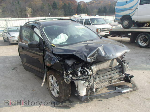 Photo 1FMCU9GX2DUB92525 - FORD ESCAPE 2013