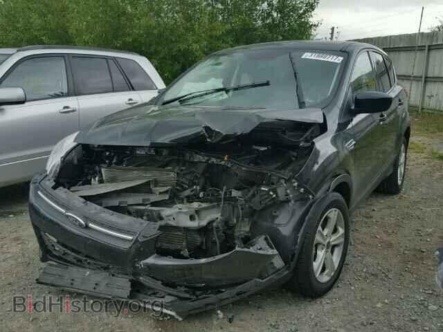 2014 FORD ESCAPE - VIN: 1FMCU9GX4EUC38762 - Photo 2
