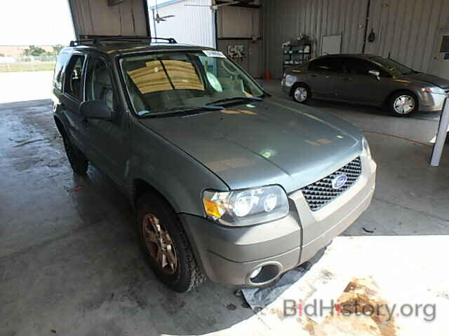 Photo 1FMYU03Z47KC07891 - FORD ESCAPE 2007