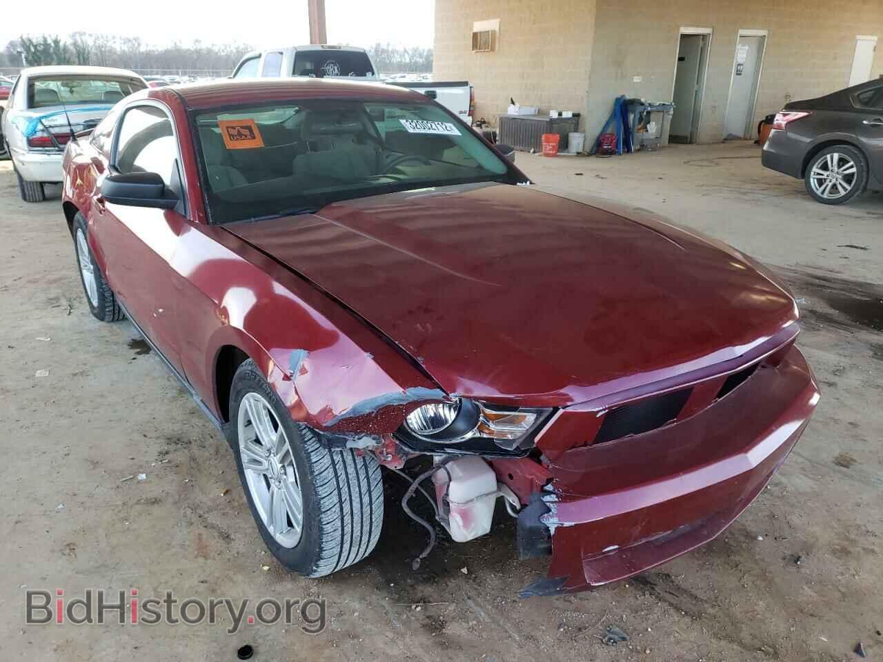 Photo 1ZVBP8AN6A5136129 - FORD MUSTANG 2010