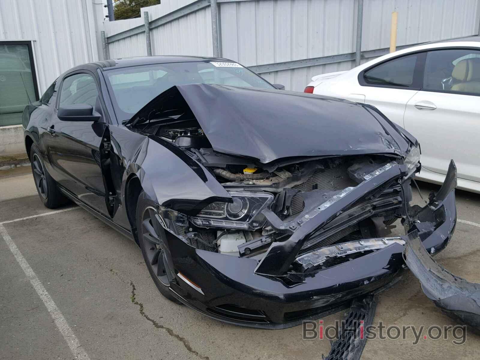 Photo 1ZVBP8AM6D5264706 - FORD MUSTANG 2013