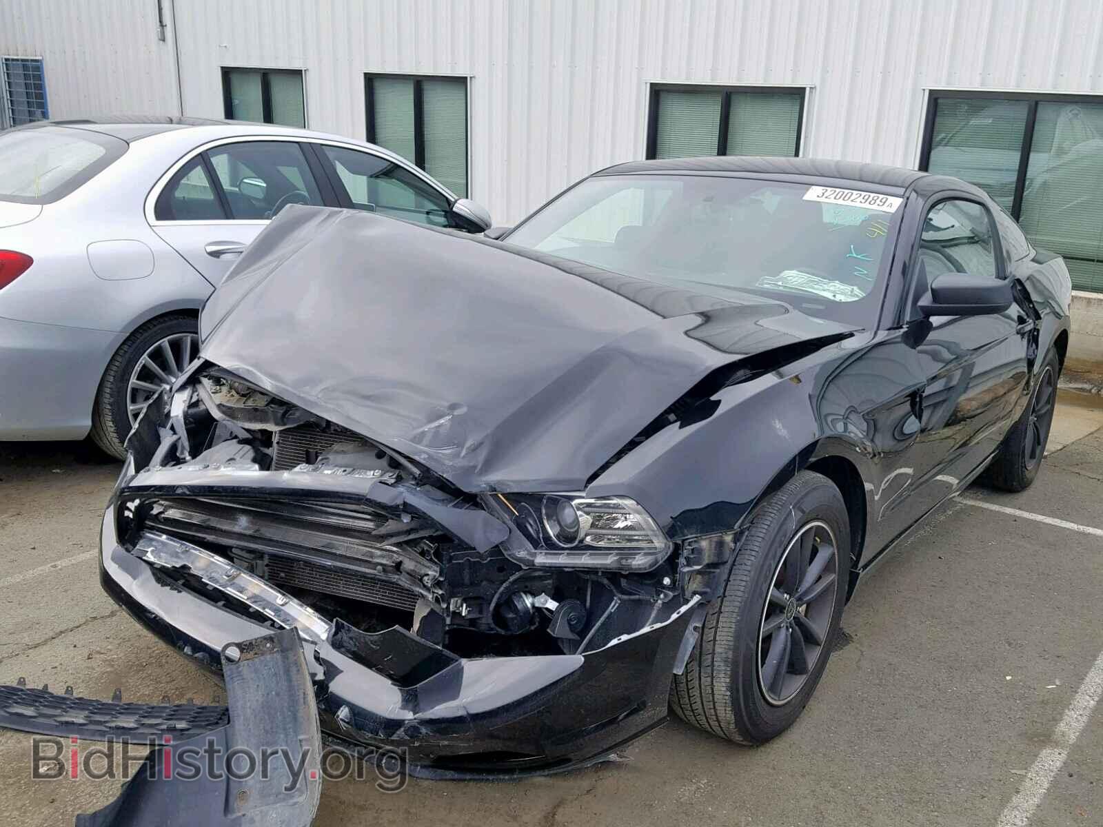 2013 FORD MUSTANG - VIN: 1ZVBP8AM6D5264706 - Фото 2