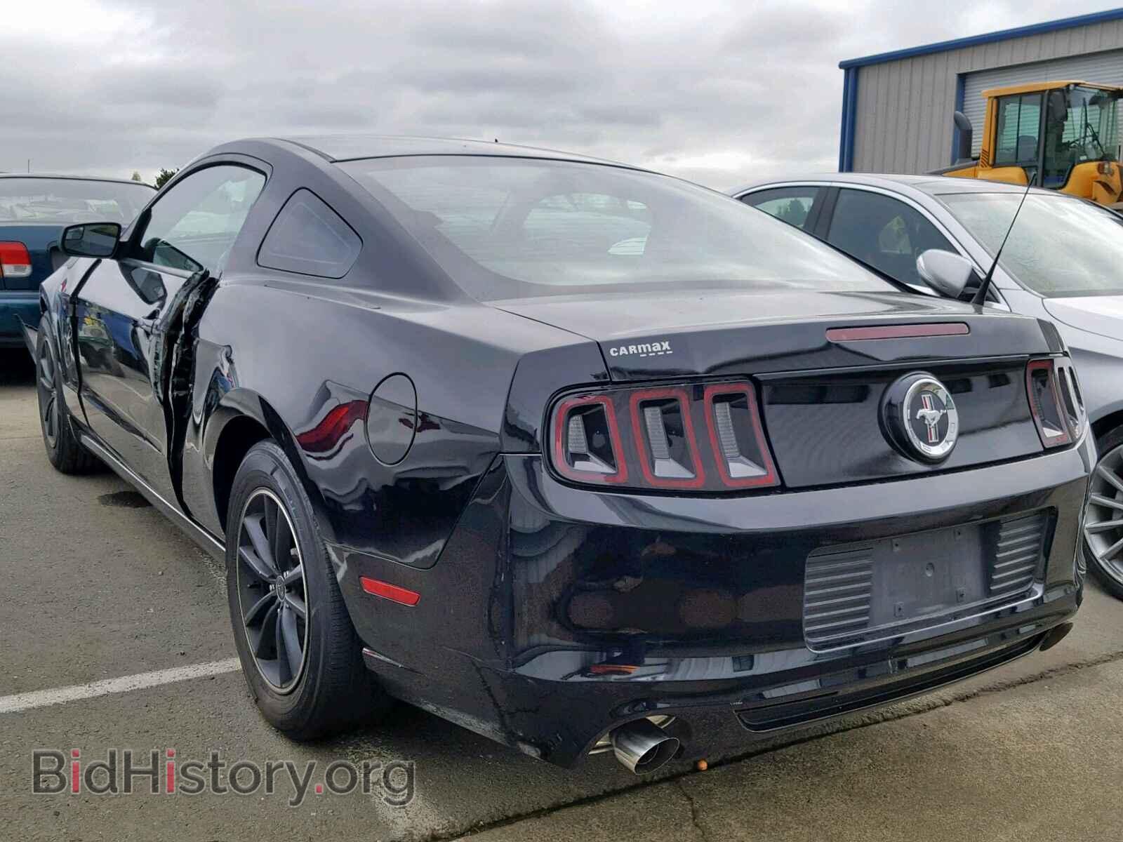 2013 FORD MUSTANG - VIN: 1ZVBP8AM6D5264706 - Фото 3