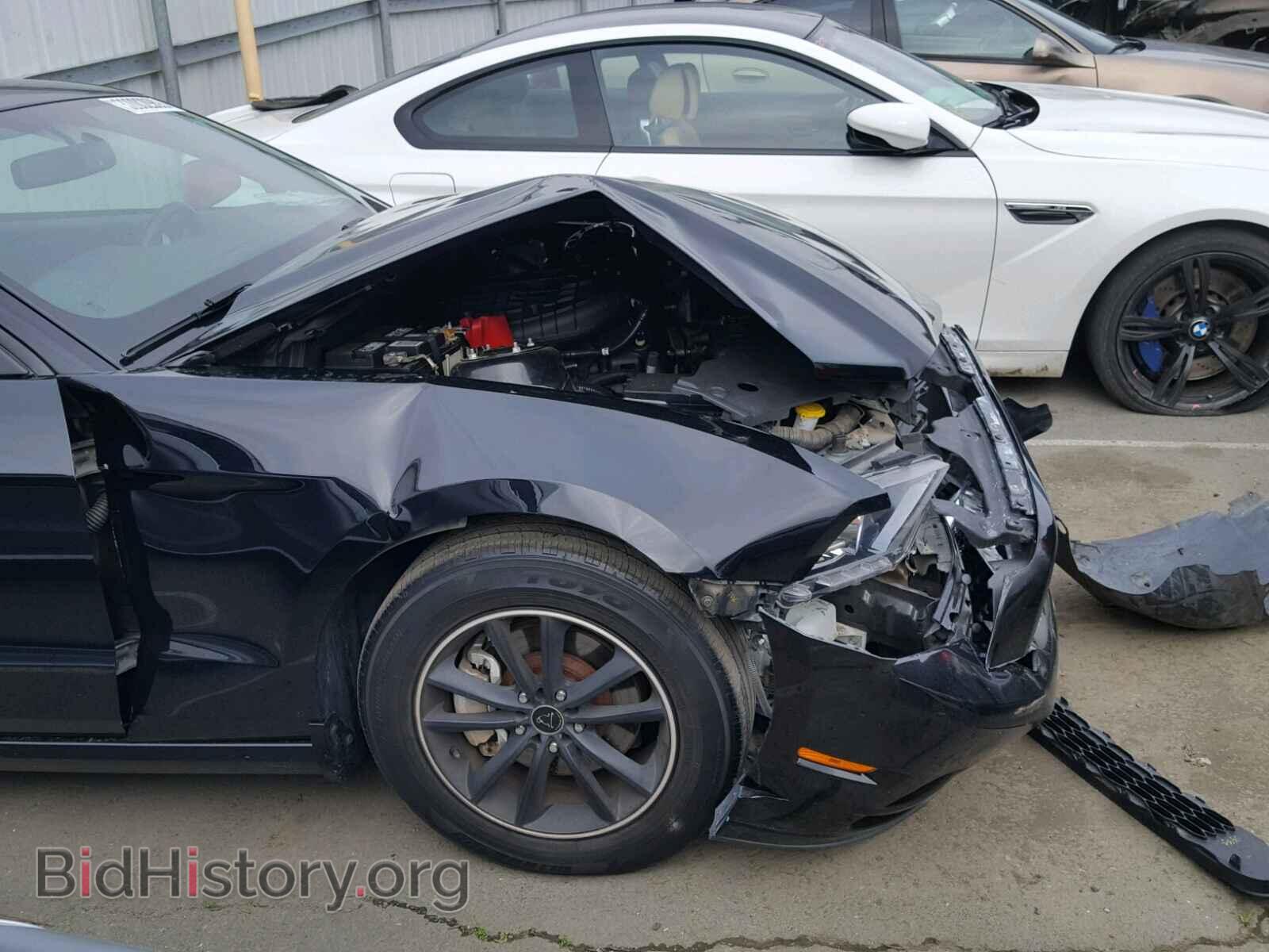 2013 FORD MUSTANG - VIN: 1ZVBP8AM6D5264706 - Фото 9