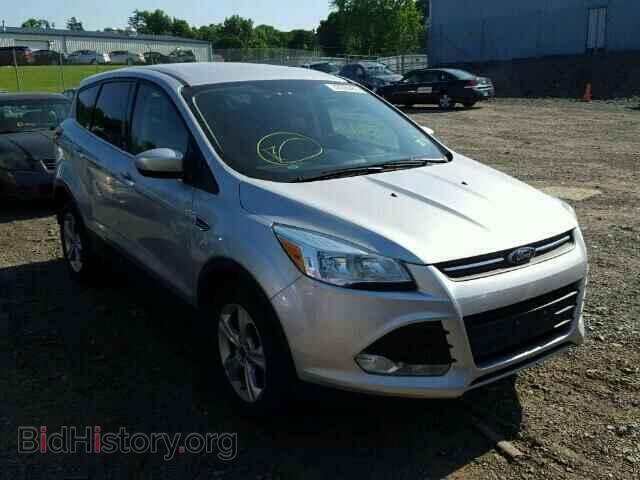 Фотография 1FMCU0GX8EUC52708 - FORD ESCAPE 2014
