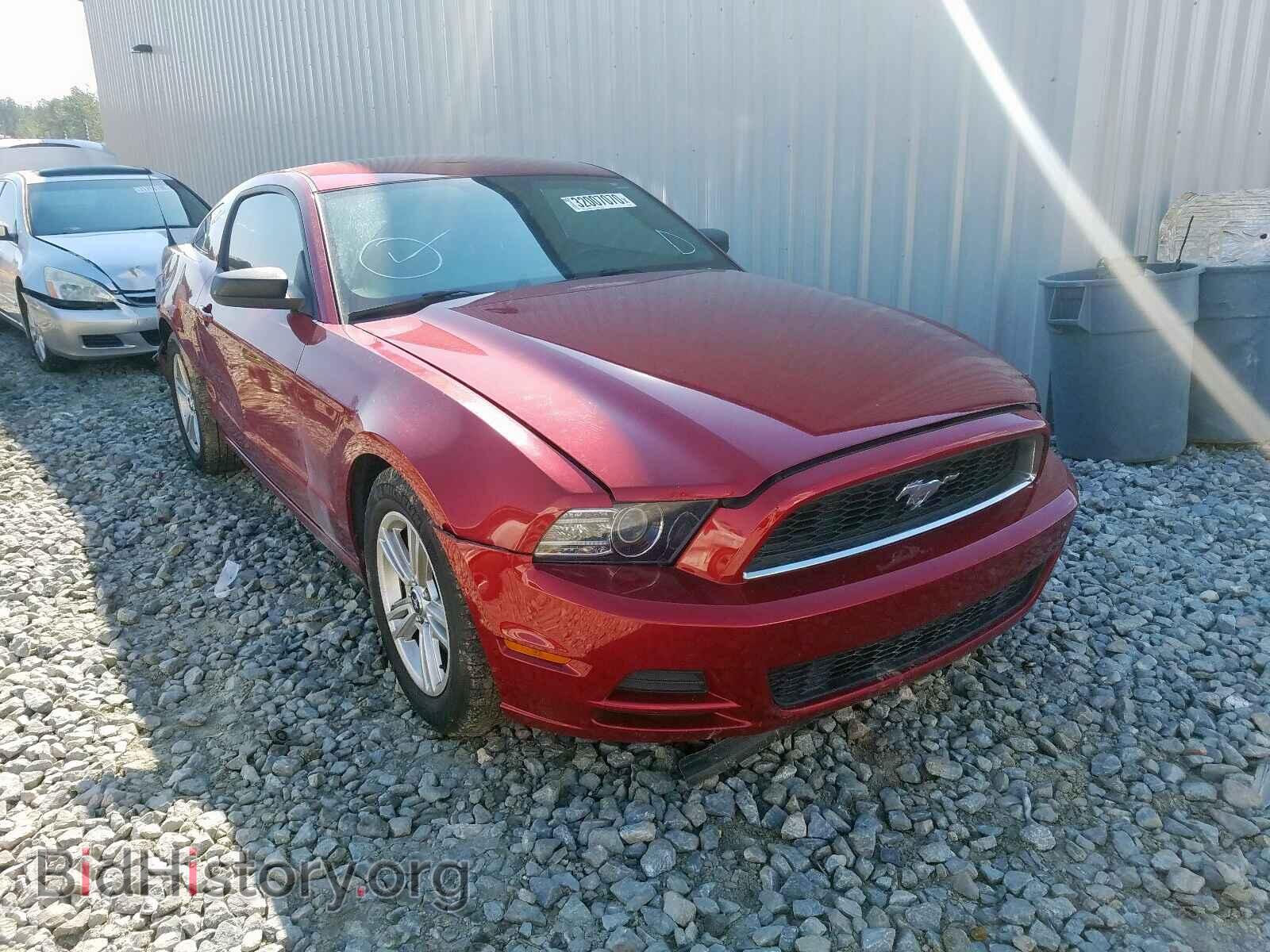 Photo 1ZVBP8AM7E5255904 - FORD MUSTANG 2014