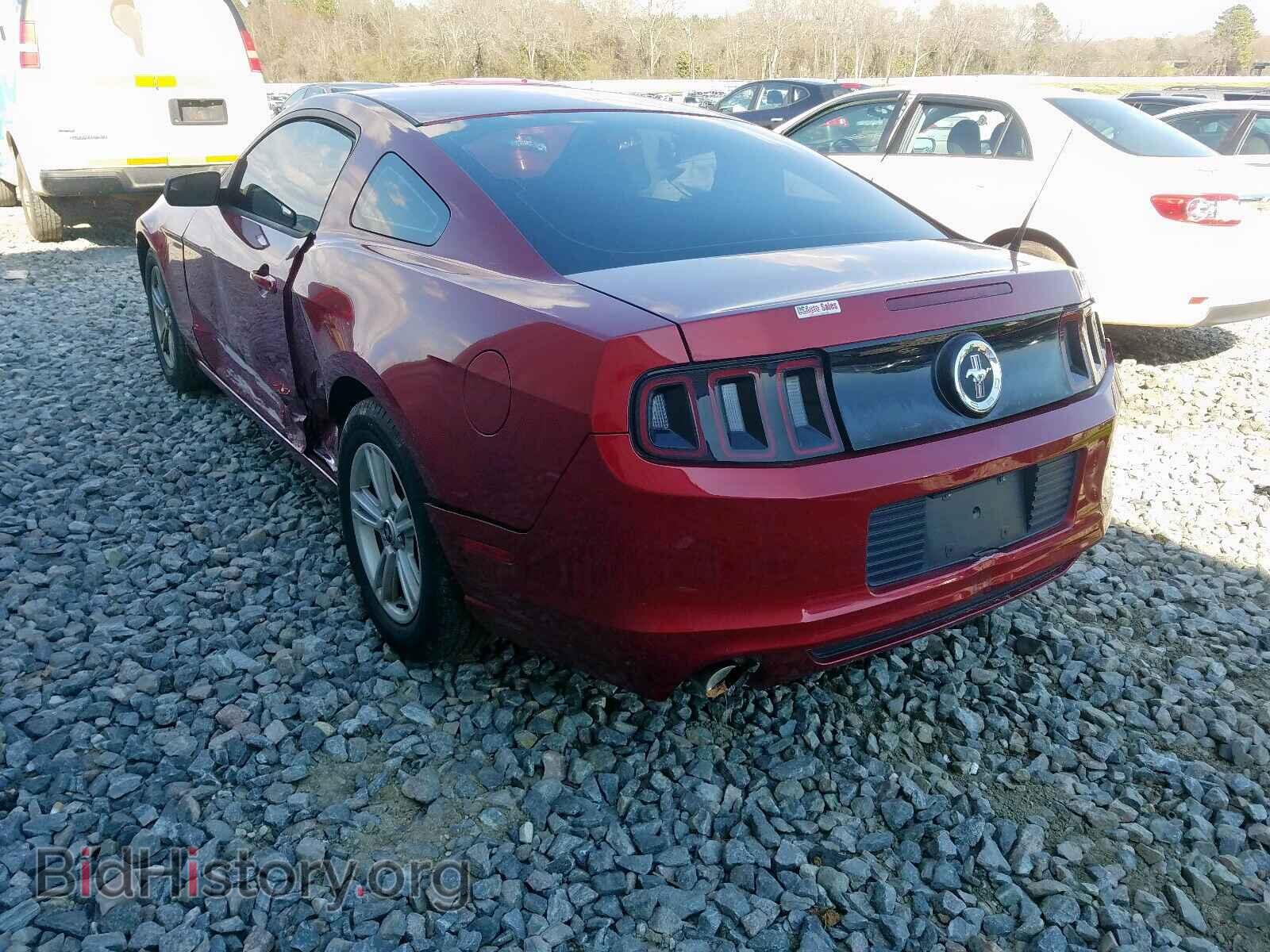 2014 FORD MUSTANG - VIN: 1ZVBP8AM7E5255904 - Фото 3