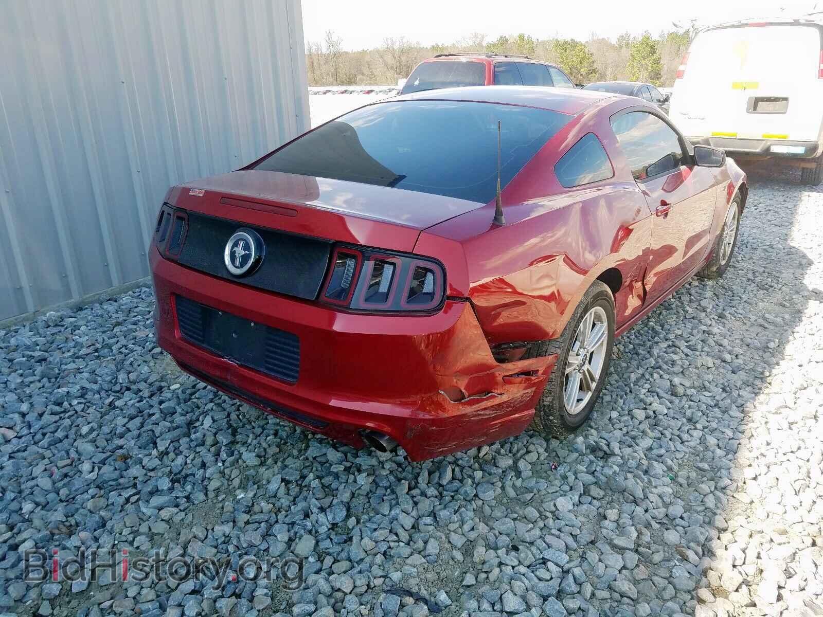 2014 FORD MUSTANG - VIN: 1ZVBP8AM7E5255904 - Фото 4