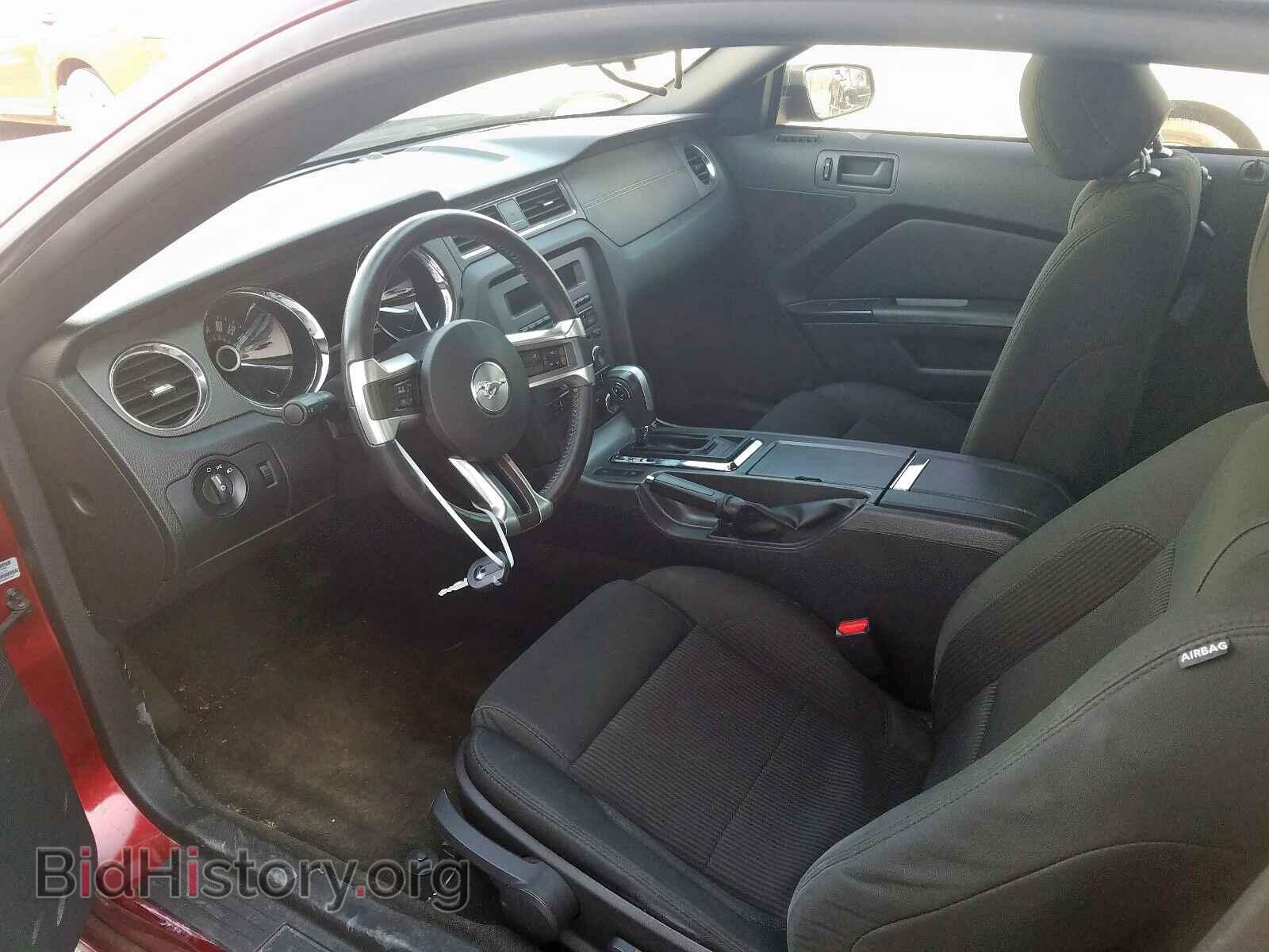 2014 FORD MUSTANG - VIN: 1ZVBP8AM7E5255904 - Фото 5