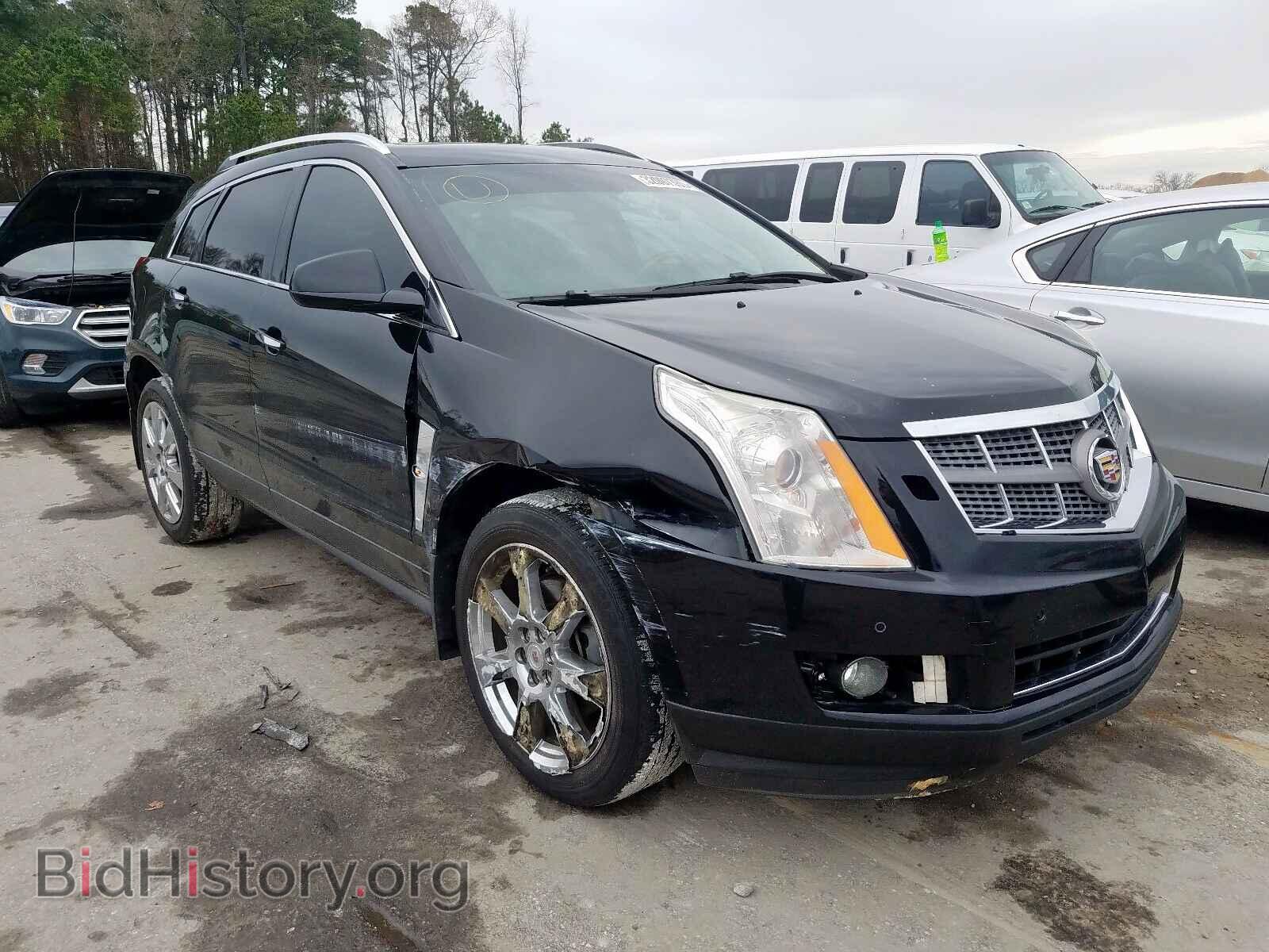 Photo 3GYFNBEY5AS619896 - CADILLAC SRX 2010
