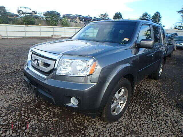 2010 HONDA PILOT - VIN: 5FNYF4H54AB004970 - Фото 2