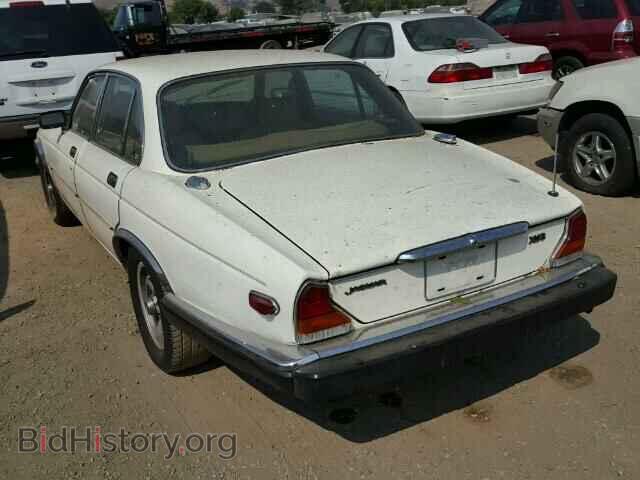 1985 JAGUAR XJ6 - VIN: SAJAV1345FC425166 - Фото 3