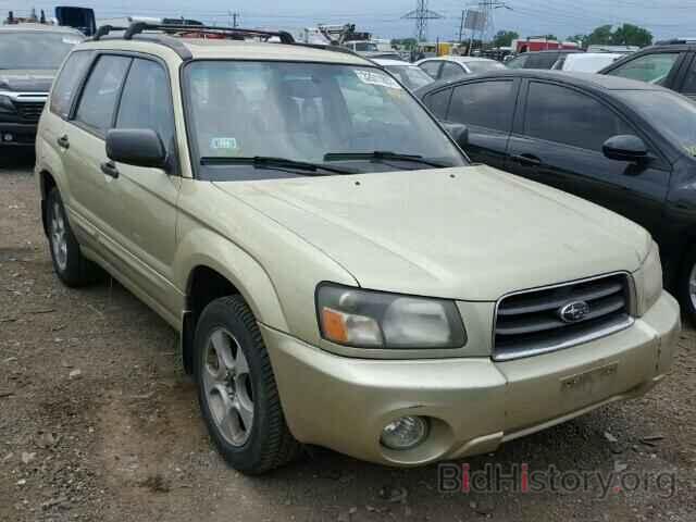 Photo JF1SG65613H716955 - SUBARU FORESTER 2003