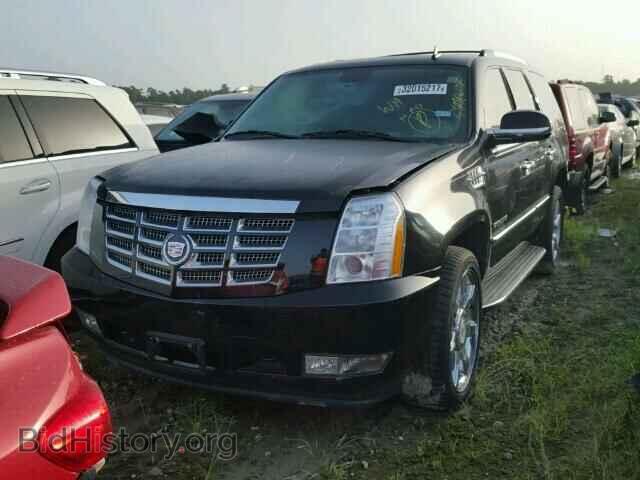 2011 CADILLAC ESCALADE - VIN: 1GYS4BEF4BR333834 - Фото 2