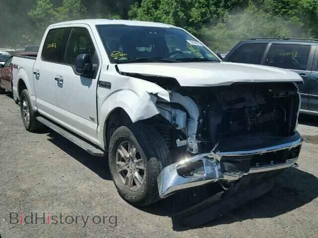 Фотография 1FTEW1EPXFFA22075 - FORD F150 2015