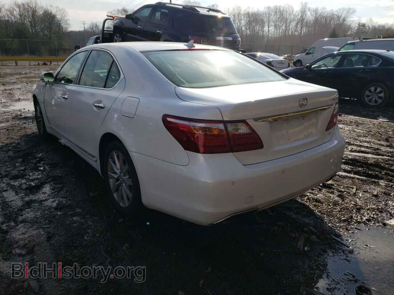 2012 LEXUS LS460 - VIN: JTHCL5EF1C5013845 - Фото 3