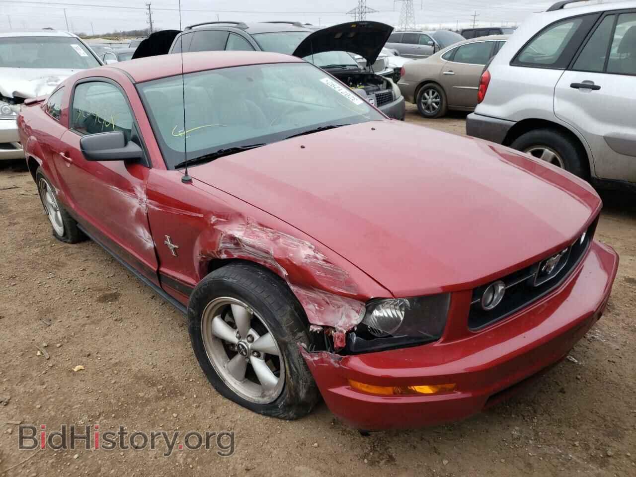 Фотография 1ZVHT80N985106382 - FORD MUSTANG 2008