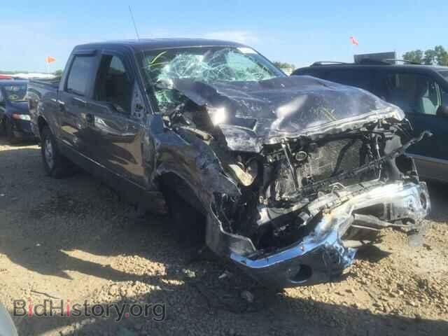 Фотография 1FTFW1EF4DFC36052 - FORD F150 2013