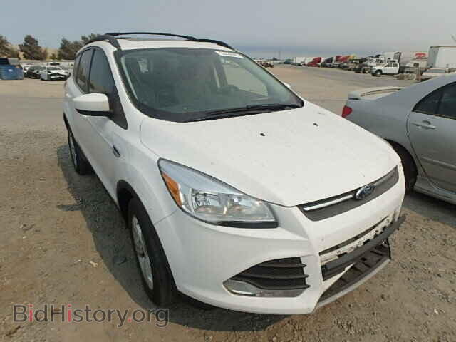 Photo 1FMCU0GX5DUA70432 - FORD ESCAPE 2013
