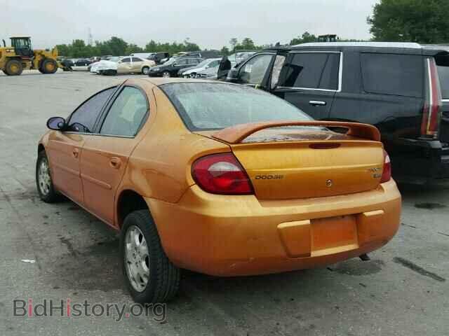 2005 DODGE NEON - VIN: 1B3ES56C05D258616 - Фото 3