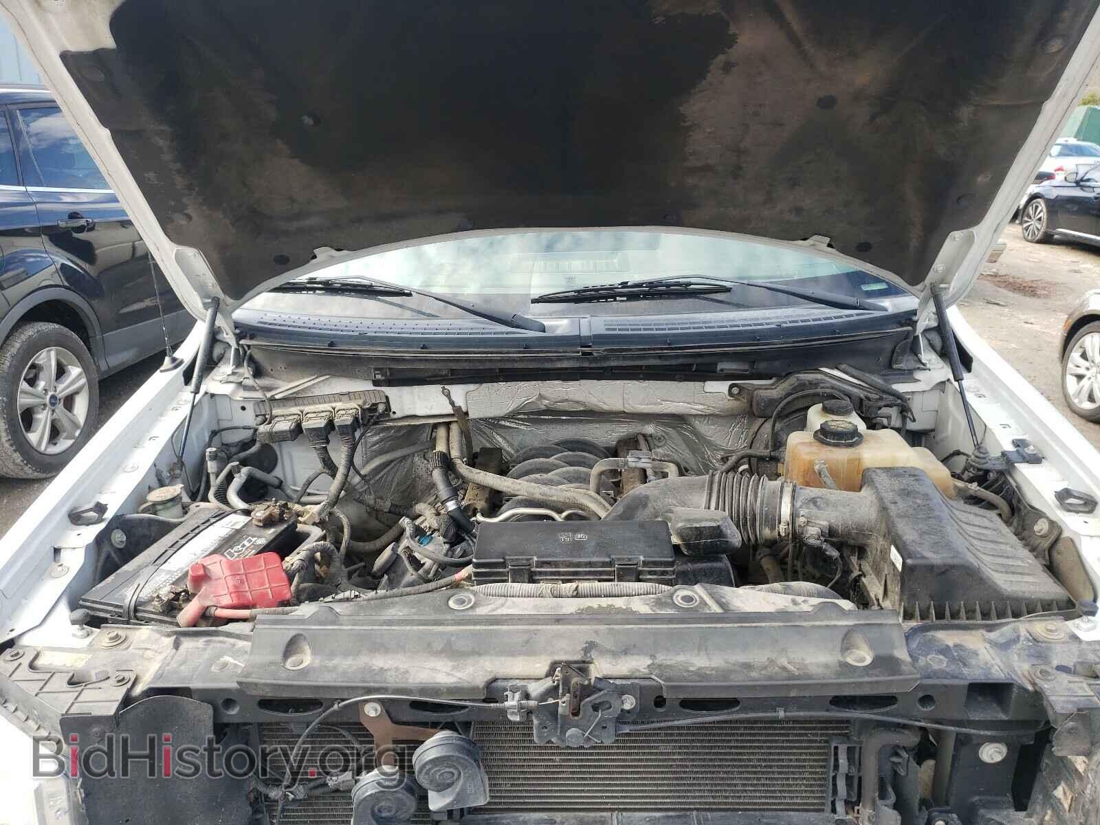 2013 FORD F150 - VIN: 1FTFX1EF2DFD65677 - Фото 7