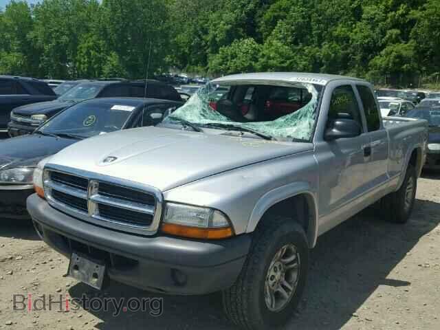 2004 DODGE DAKOTA - VIN: 1D7HG12K44S556976 - Фото 2