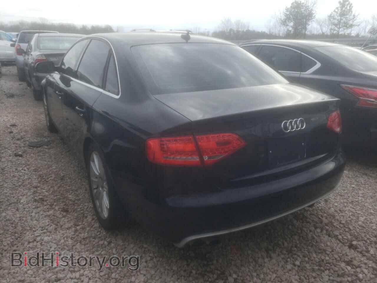 2010 AUDI A4 - VIN: WAUEFAFL9AN049324 - Фото 3