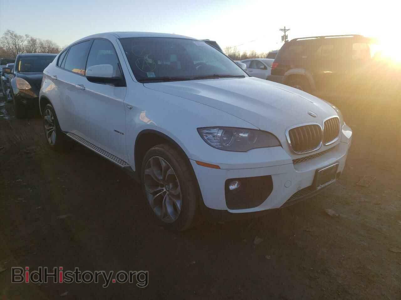 Photo 5UXFG2C53DL784654 - BMW X6 2013
