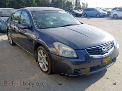 2008 Nissan MAXIMA Maxima SE, серый — VIN 1N4BA41E28C830079, Copart