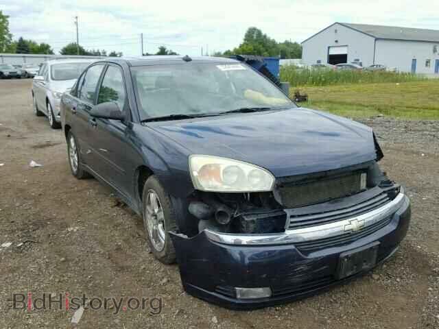 Photo 1G1ZU54885F254433 - CHEVROLET MALIBU 2005